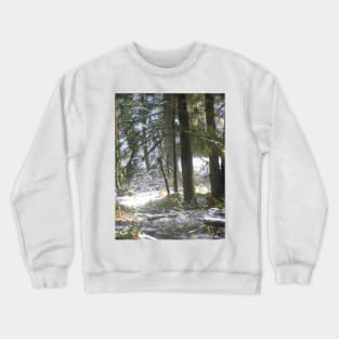 Forest Sun Rays in the  Snow #47 Crewneck Sweatshirt